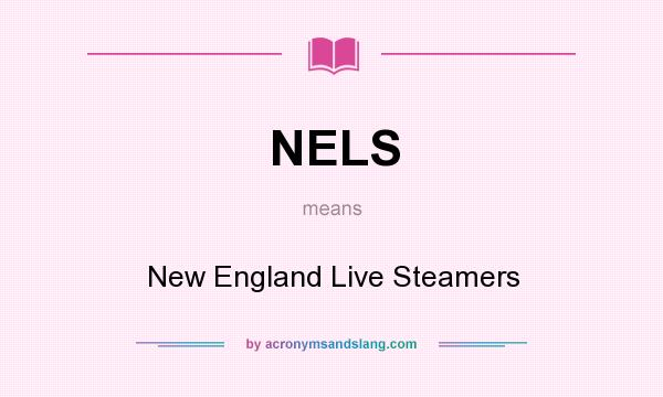 What does NELS mean? It stands for New England Live Steamers