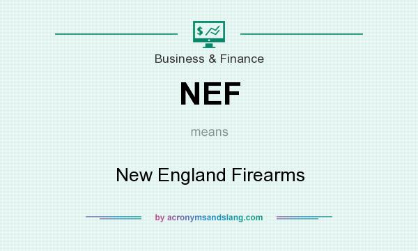What does NEF mean? It stands for New England Firearms