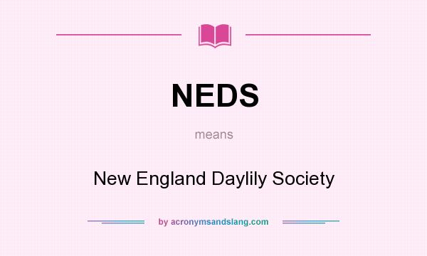 What does NEDS mean? It stands for New England Daylily Society
