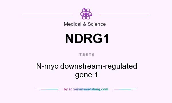 What does NDRG1 mean? It stands for N-myc downstream-regulated gene 1