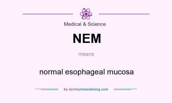 What does NEM mean? It stands for normal esophageal mucosa