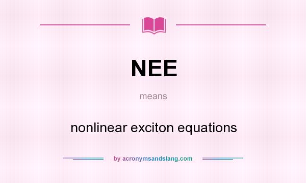 What does NEE mean? It stands for nonlinear exciton equations