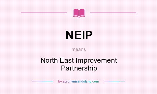 What does NEIP mean? It stands for North East Improvement Partnership