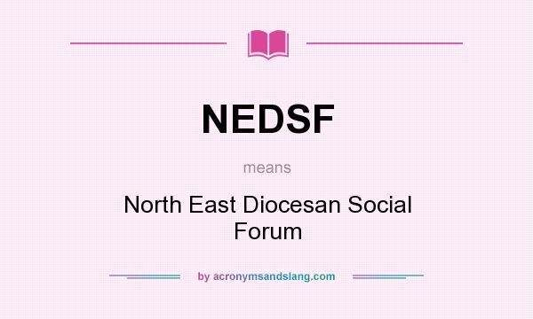 What does NEDSF mean? It stands for North East Diocesan Social Forum