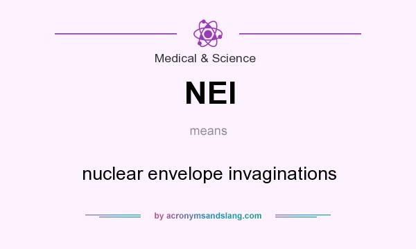 What does NEI mean? It stands for nuclear envelope invaginations