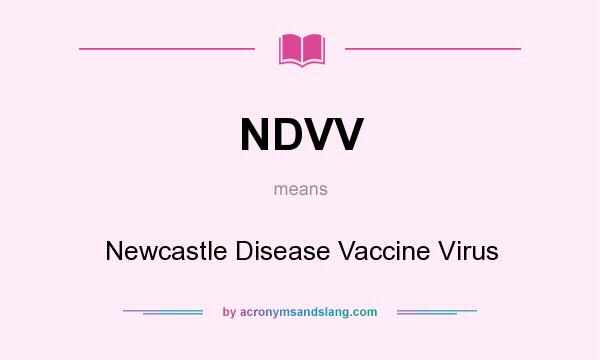 What does NDVV mean? It stands for Newcastle Disease Vaccine Virus