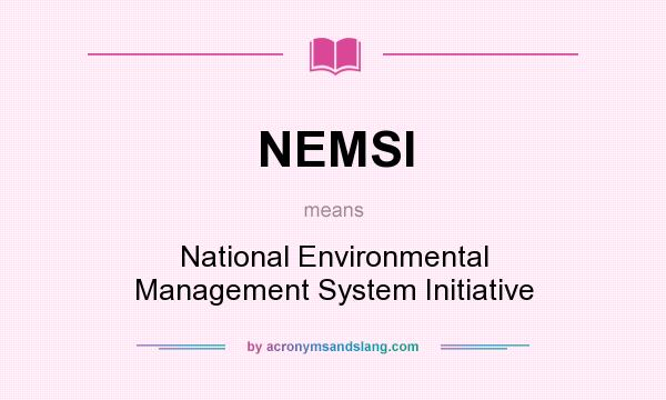 What does NEMSI mean? It stands for National Environmental Management System Initiative