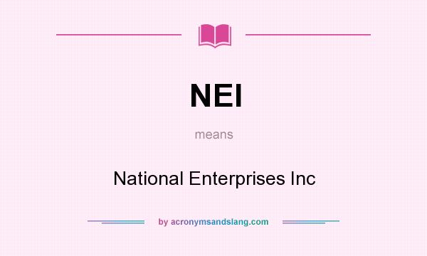 What does NEI mean? It stands for National Enterprises Inc