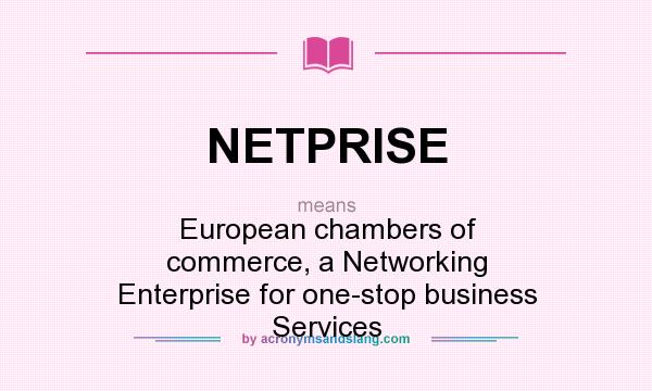 What does NETPRISE mean? It stands for European chambers of commerce, a Networking Enterprise for one-stop business Services