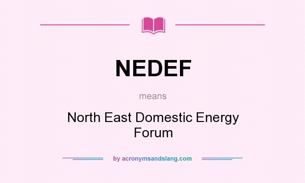 What does NEDEF mean? It stands for North East Domestic Energy Forum