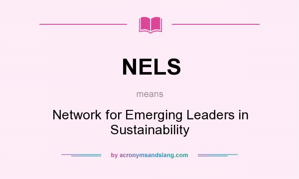 What does NELS mean? It stands for Network for Emerging Leaders in Sustainability
