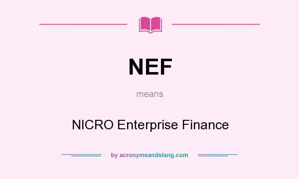 What does NEF mean? It stands for NICRO Enterprise Finance