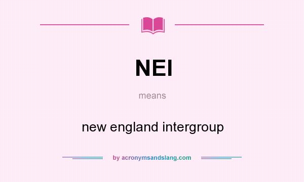 What does NEI mean? It stands for new england intergroup