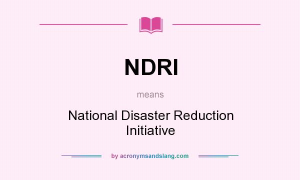 What does NDRI mean? It stands for National Disaster Reduction Initiative
