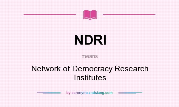 What does NDRI mean? It stands for Network of Democracy Research Institutes