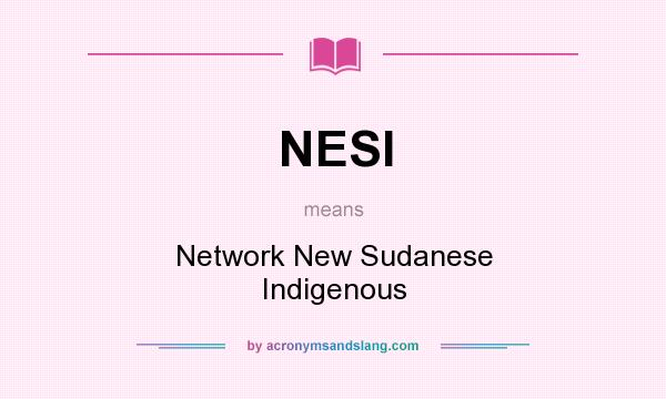 What does NESI mean? It stands for Network New Sudanese Indigenous