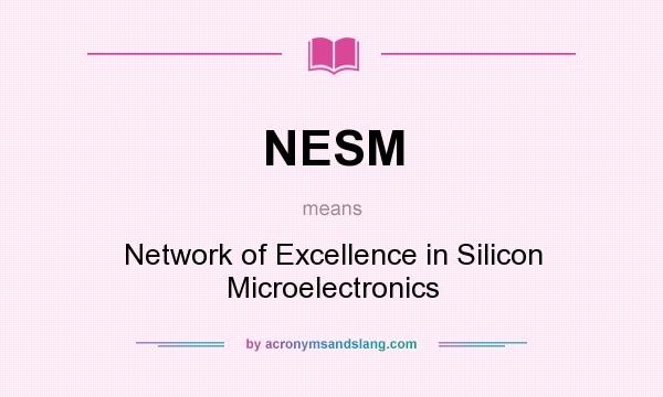 What does NESM mean? It stands for Network of Excellence in Silicon Microelectronics