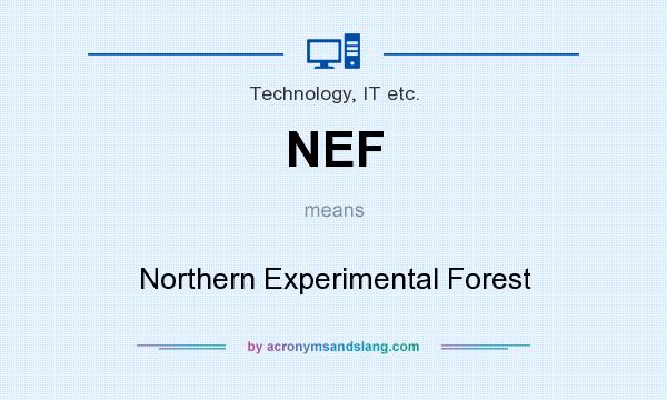 What does NEF mean? It stands for Northern Experimental Forest