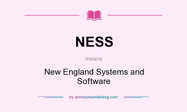 What does NESS mean? It stands for New England Systems and Software