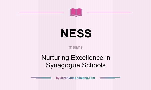 What does NESS mean? It stands for Nurturing Excellence in Synagogue Schools