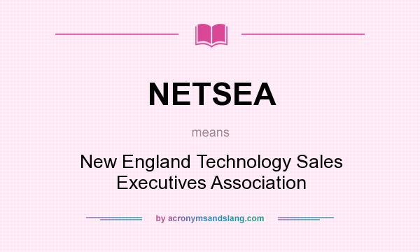 What does NETSEA mean? It stands for New England Technology Sales Executives Association