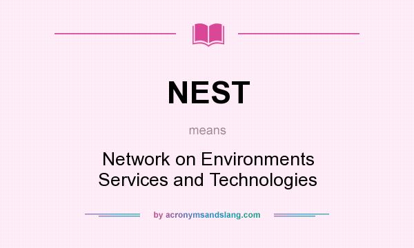 What does NEST mean? It stands for Network on Environments Services and Technologies