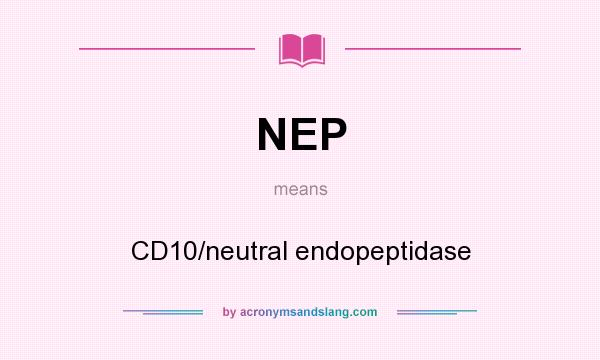 What does NEP mean? It stands for CD10/neutral endopeptidase