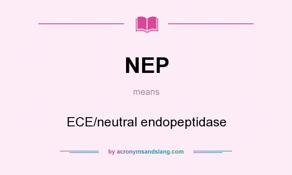 What does NEP mean? It stands for ECE/neutral endopeptidase