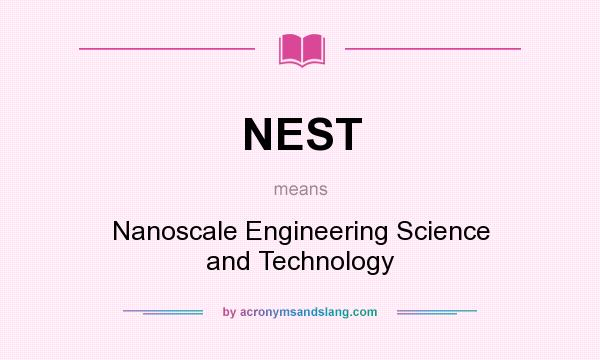 What does NEST mean? It stands for Nanoscale Engineering Science and Technology