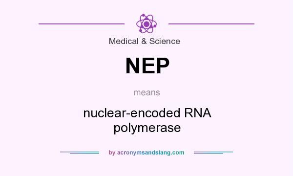 What does NEP mean? It stands for nuclear-encoded RNA polymerase