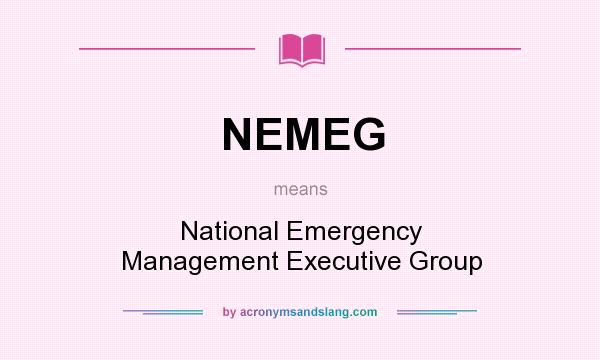 What does NEMEG mean? It stands for National Emergency Management Executive Group