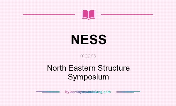What does NESS mean? It stands for North Eastern Structure Symposium