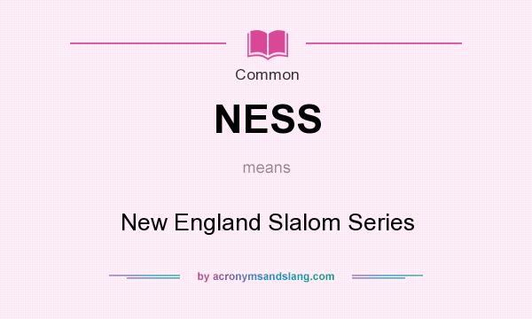What does NESS mean? It stands for New England Slalom Series