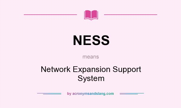 What does NESS mean? It stands for Network Expansion Support System