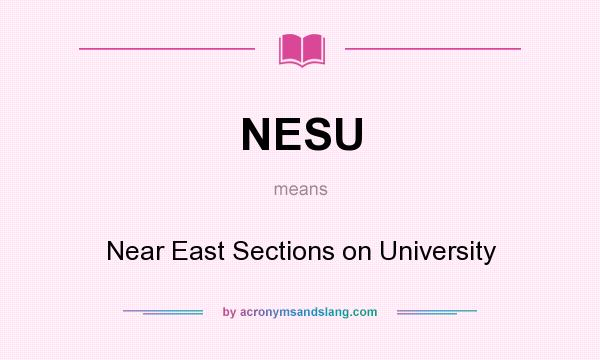 What does NESU mean? It stands for Near East Sections on University
