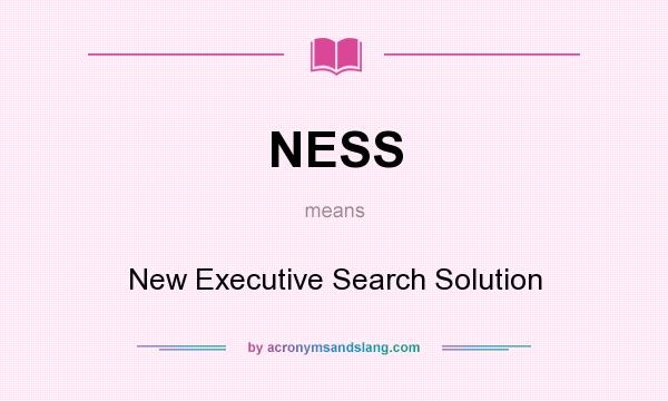 What does NESS mean? It stands for New Executive Search Solution