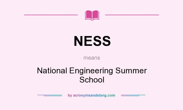 What does NESS mean? It stands for National Engineering Summer School