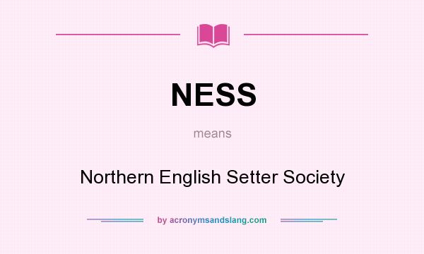 What does NESS mean? It stands for Northern English Setter Society