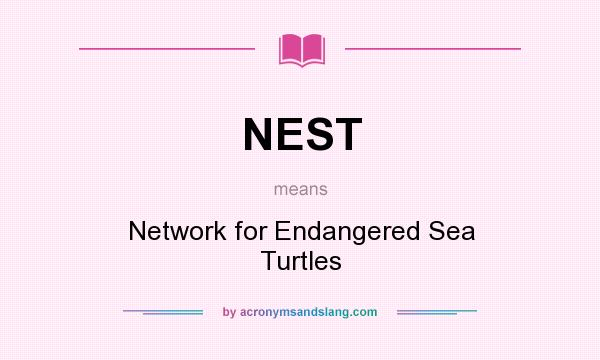 What does NEST mean? It stands for Network for Endangered Sea Turtles