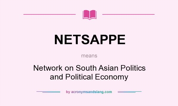 What does NETSAPPE mean? It stands for Network on South Asian Politics and Political Economy