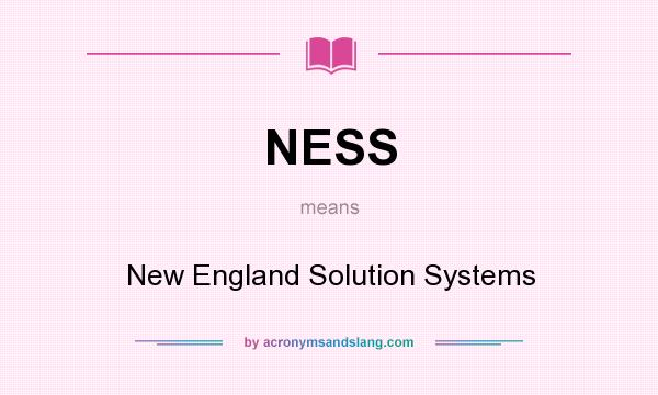 What does NESS mean? It stands for New England Solution Systems