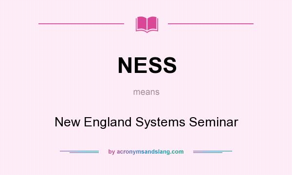 What does NESS mean? It stands for New England Systems Seminar