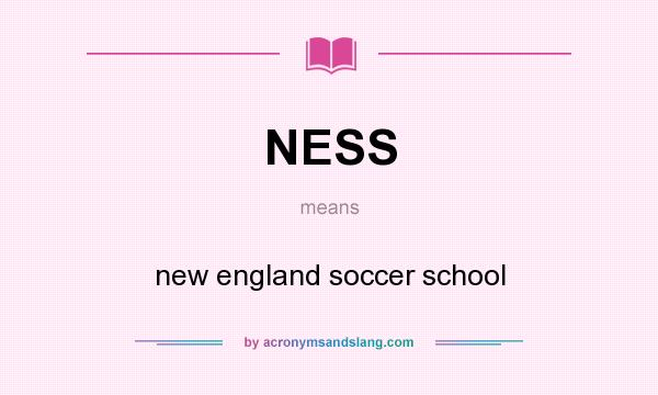 What does NESS mean? It stands for new england soccer school