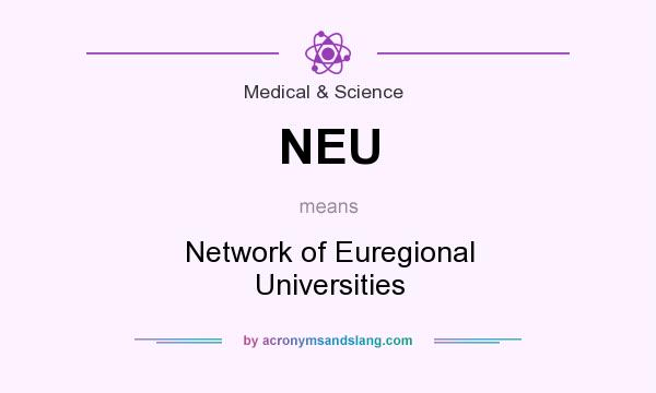 What does NEU mean? It stands for Network of Euregional Universities
