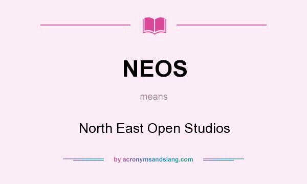 What does NEOS mean? It stands for North East Open Studios