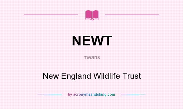 What does NEWT mean? It stands for New England Wildlife Trust