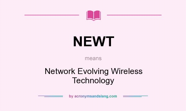 What does NEWT mean? It stands for Network Evolving Wireless Technology