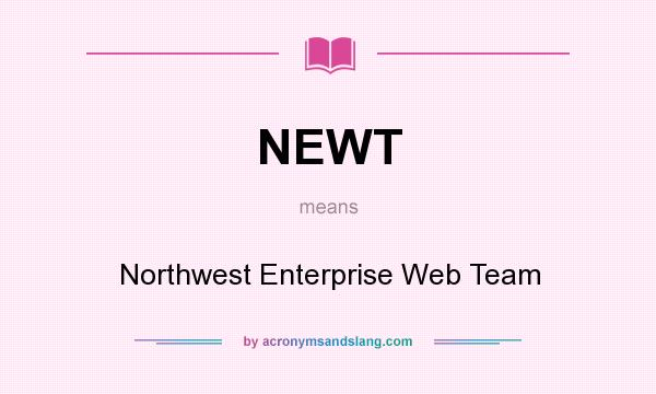 What does NEWT mean? It stands for Northwest Enterprise Web Team