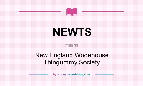 What does NEWTS mean? It stands for New England Wodehouse Thingummy Society