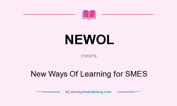 What does NEWOL mean? It stands for New Ways Of Learning for SMES